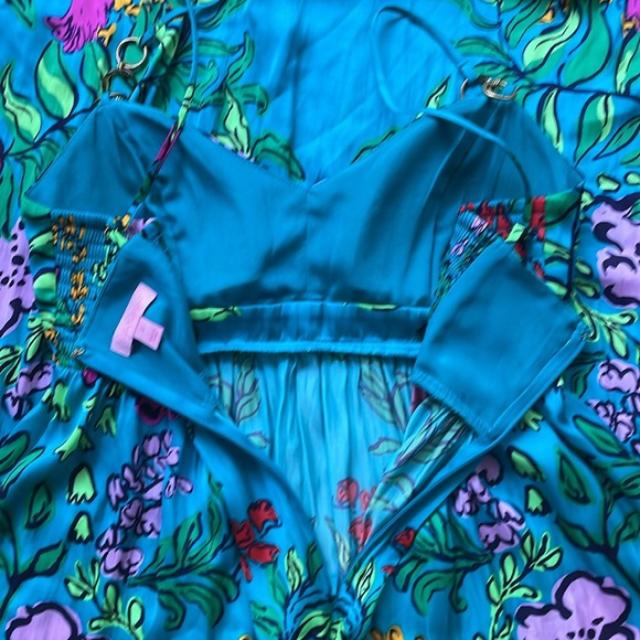 Lilly Pulitzer Joanna Empire Waist Maxi Dress in Shake Your Tail Feathers - Picture 7 of 13